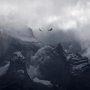 AIR Photography Collection