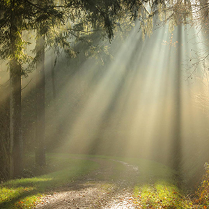 ETHER Photography Collection