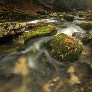 WATER Photography Collection